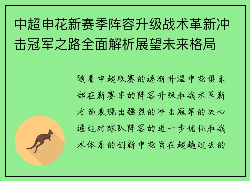 中超申花新赛季阵容升级战术革新冲击冠军之路全面解析展望未来格局